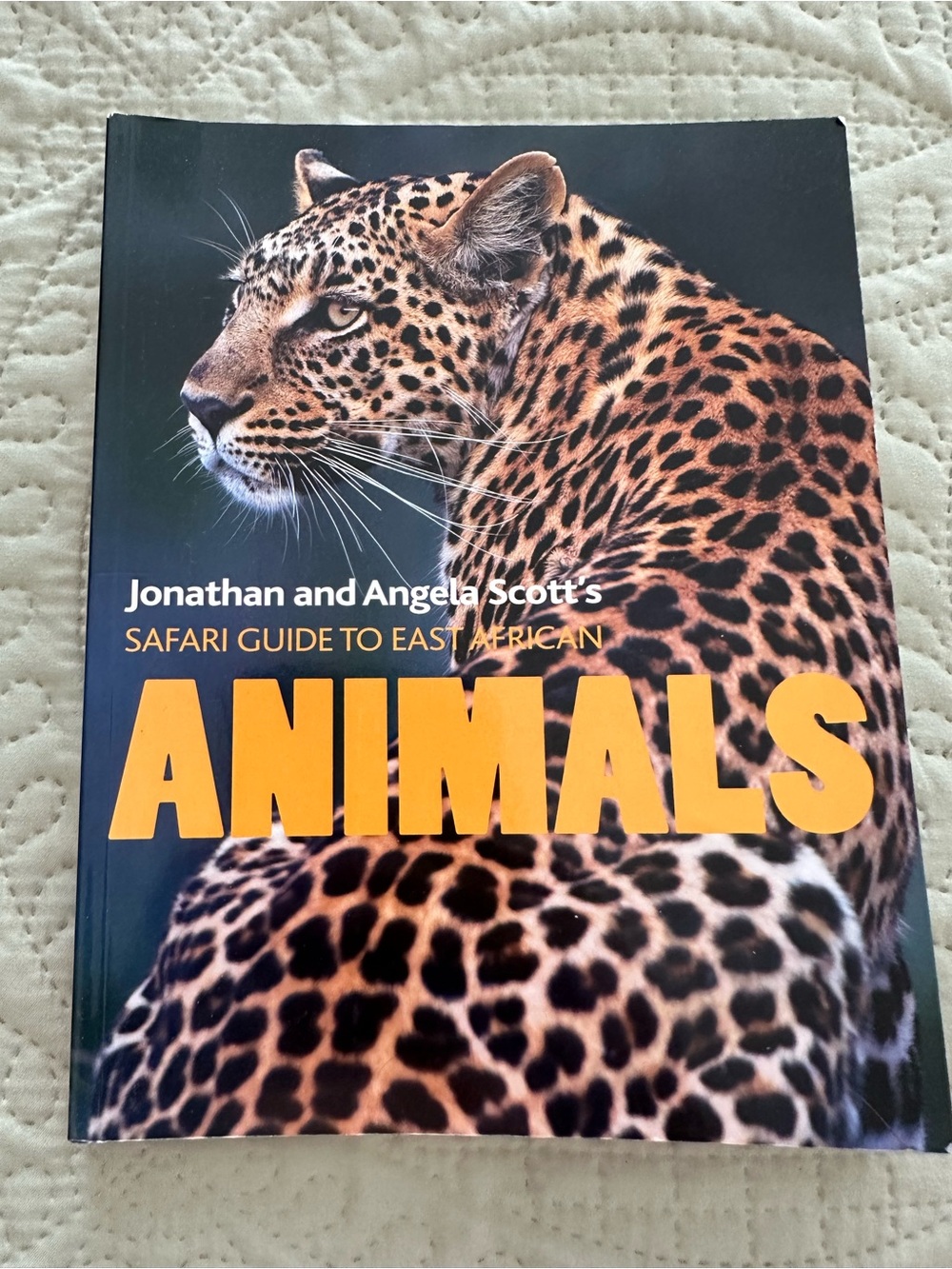 Animals Safari Guide to East African Animals by Jonathan & Angela Scott